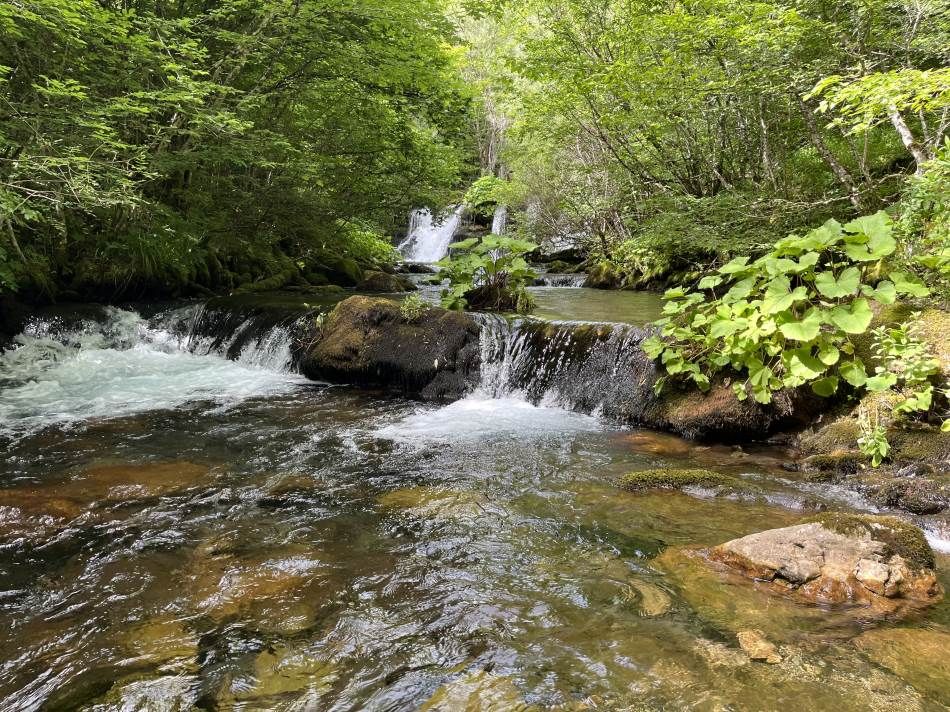 Istraživali smo: Prijeti li totalno uništenje Neretve? 