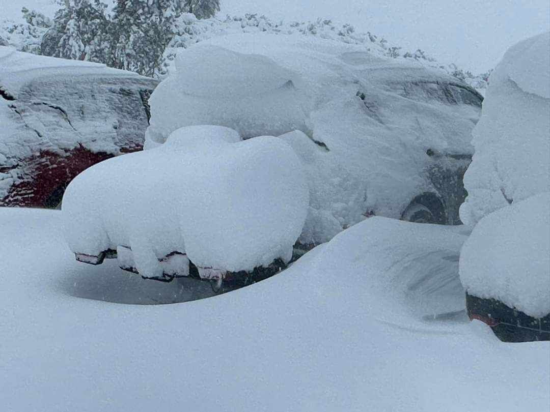 Očekuje se preko metar i po snijega! Padavine u Njemačkoj i Austriji iznenadile stanovnike